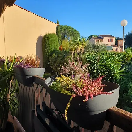Duplex De Standing Au Calme Avec Piscine